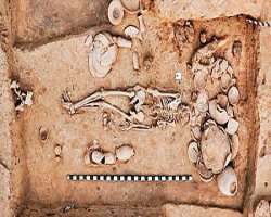The museum will be occupied with some major excava The museum will be occupied with some major excavations includes the Harappan and pre-Harappan civilizations and also the human skeletons were most im
